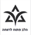 תכנית "יתד" לצעירות וצעירים